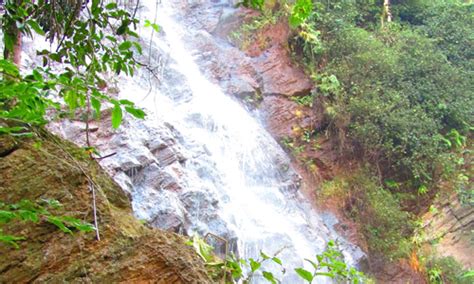 Chaparai Waterfalls, Araku Valley - Timings & Entryfee