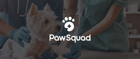 Pawsquad | CraftedQ