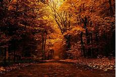 Aesthetic Autumn Desktop Wallpapers by Aesthetic Autumn Wallpapers Wallpaper Cave Aesthetic Autumn Desktop Wallpapers