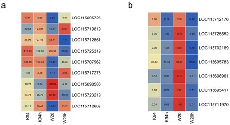 Key Cannabis Salt-Responsive Genes and Pathways Revealed by Comparative ...