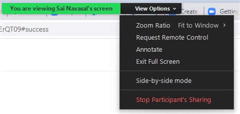 Image result for Request Control Zoom