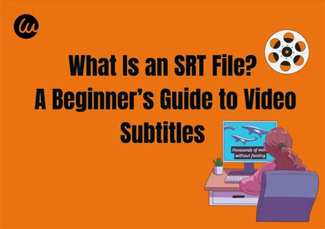 Srt File Example 的图像结果