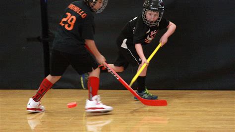 Floor Hockey 的图像结果