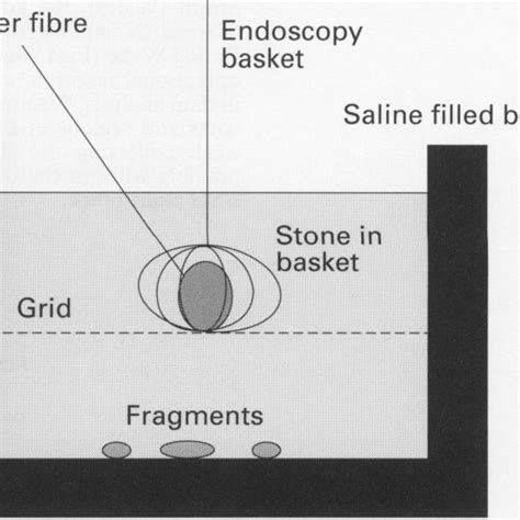 Image result for Sample Fragmentation