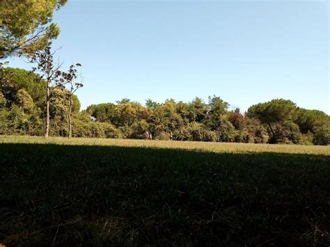 PARCO GIOVANNI PAOLO II (GIA PARCO LA CAVA) (2026) All You Need to Know ...