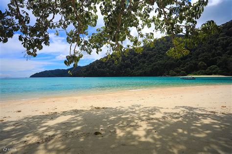 From Khao Lak: Surin Islands Speedboat Tour with Snorkeling - Klook India
