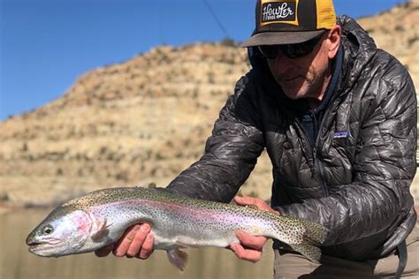 About Trout - Durango | Tripadvisor