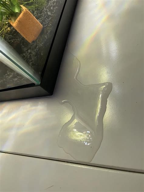 Tank is leaking!!! what do I do so my shrimp don’t die? : r/Aquariums