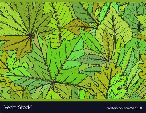 Detailed Pattern Vector 的图像结果