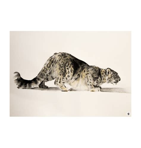 Snow Leopard Art