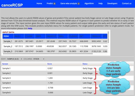 Help page of CancerCSP: clear cell renal cancer stage prediction