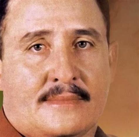 ADVOGADO DAS CAUSAS PERDIDAS (EN ESPAÑOL) - José Wantuil - LETRAS.COM