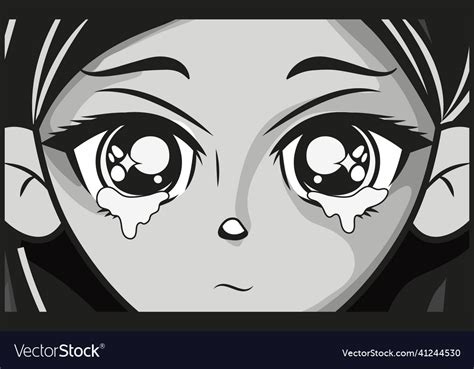 Animation 的图像结果