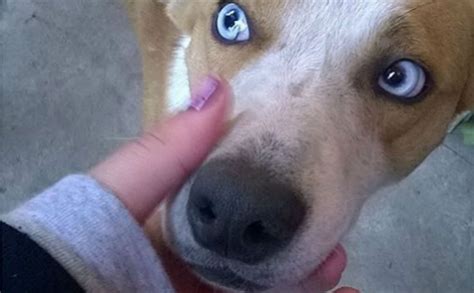 Why Is My Baby Getting Yellow Eye Boogers at Lola Goll blog