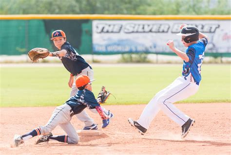 Baseball Netting 的图像结果