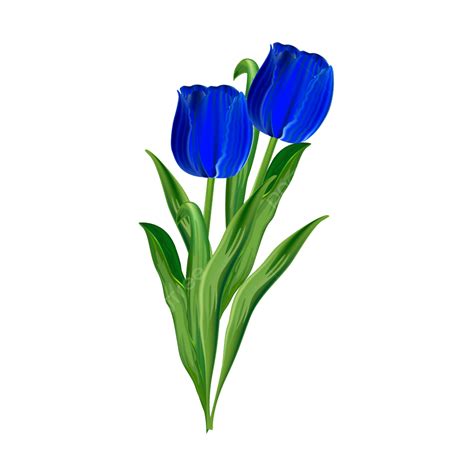 Modern Color Tulip Flower Design, Color Tulip Flower Design, Tulip ...