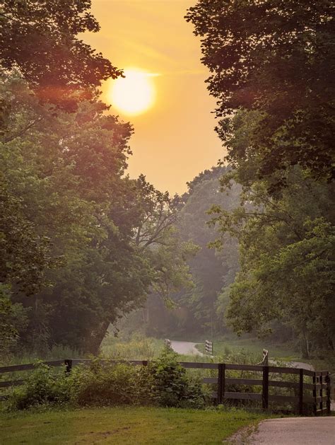 Smoggy / Smokey Sunset tonight on Duncan Mills trail. : r/toronto