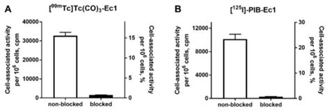 Radionuclide Molecular Imaging of EpCAM Expression in Triple-Negative ...