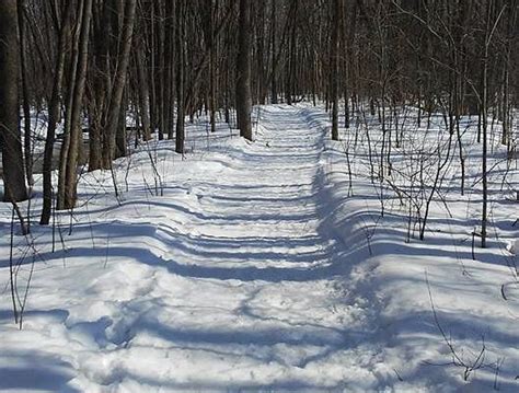 BOIS DE L'ÉQUERRE (2026) All You Need to Know BEFORE You Go (w/ Reviews ...