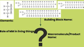 Image result for Macromolecules Building Blocks