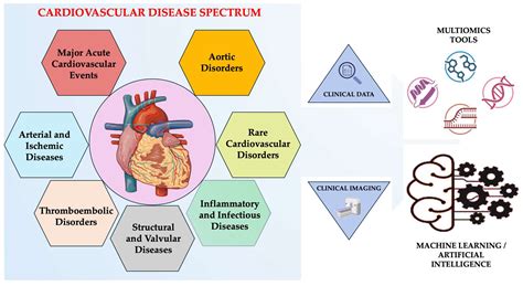 An Integrative Review of the Cardiovascular Disease Spectrum ...