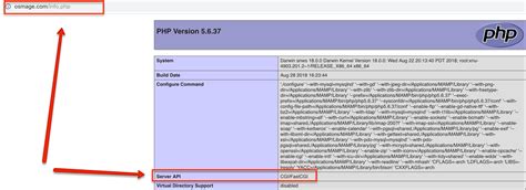 Open PDF File in Cmd 的图像结果