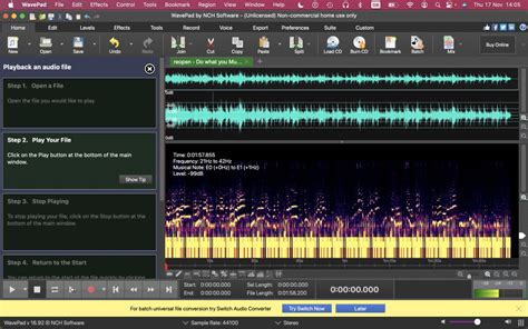 Image result for Wavepad Audio Editing Software