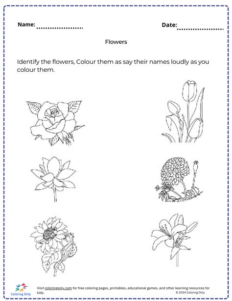 Flowers free Printable Worksheet