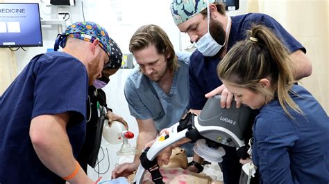 Image result for System Simulation Examples