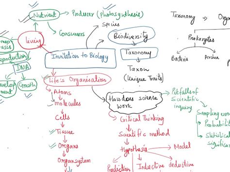 Image result for Concept Map Example