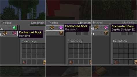 How to get Mending villager in Minecraft 1.19