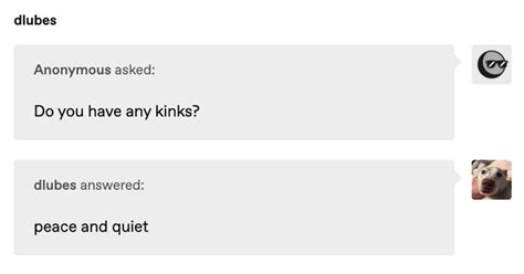 Pin by Binosaurus Rex on ripperoni snaccaroni | Tumblr funny, Funny ...