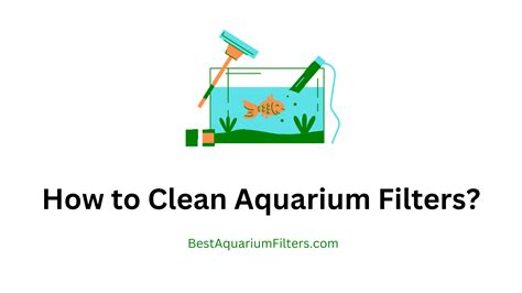 How to Clean Aquarium Filters?