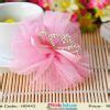 Pastel Net Hair Clip with Shimmery Pink Diamonds Crown for Girls