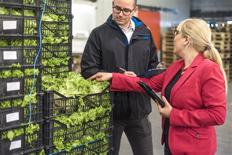 Image result for Labor Contractor