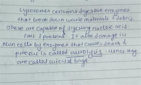 why are lysosomes known as suicide bags - Brainly.in