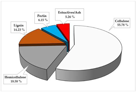 The Industrial Potential of Fique Cultivated in Colombia
