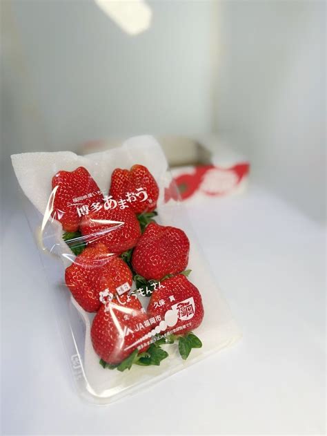 大田市場 青果仲卸 やっちゃばくらじ