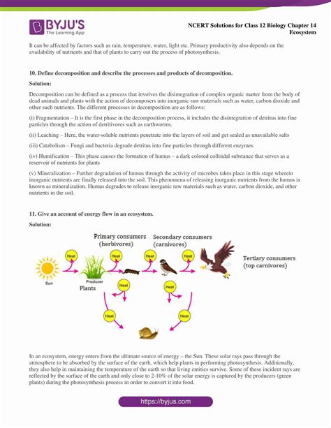 Image result for Ecosystem Structure and Function 12 NCERT