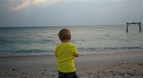 GOSTEVOI DOM TORTUGA (Myrnyi) - Specialty Inn Reviews & Photos ...