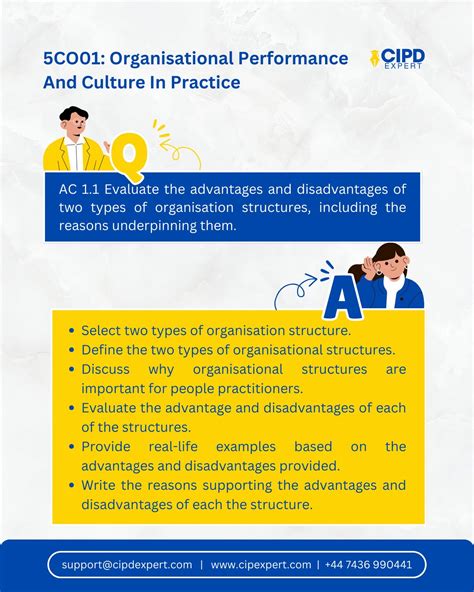 Functional Structure Example CIPD 的图像结果