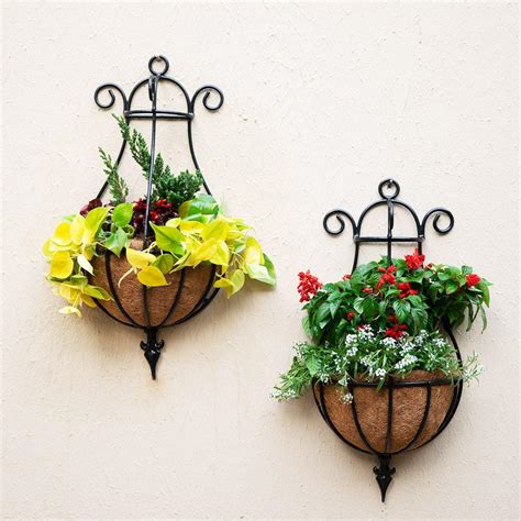 Peacocok Wall Hanging Garden Planter Basket for Plants | EarthGarden ...