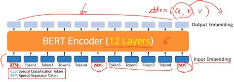 Image result for Bert Encoder Pytorch