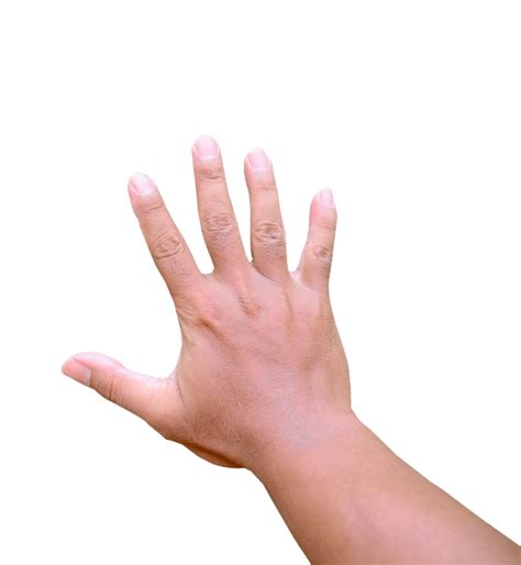 Hand Grab PNGs for Free Download