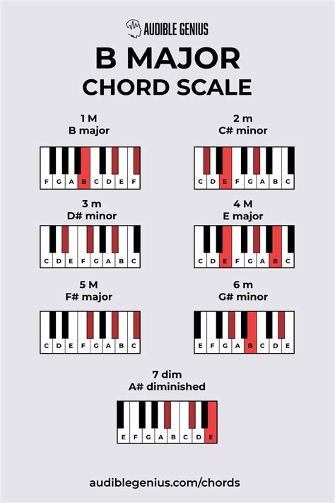 B Major Chord B Major Scale On Guitar Chords And Theory