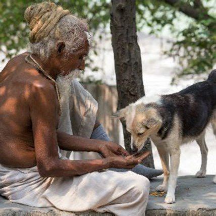 Dogs Getting into Pot 的图像结果