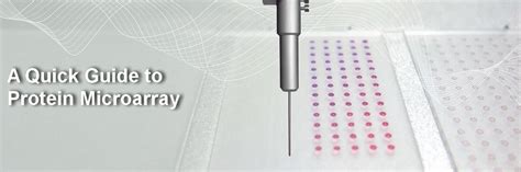 Microarray Kit 的图像结果