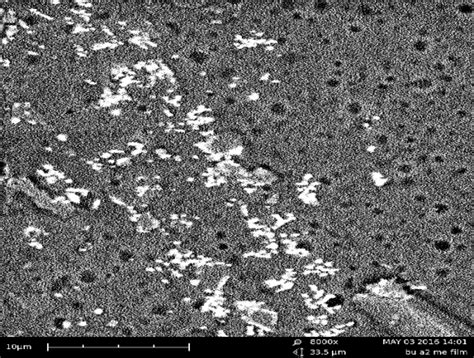 Fig. 2: Scanning electron microphotograph of fentanyl citrate ...