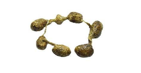 Rabbit Evolution Coin Poop 的图像结果