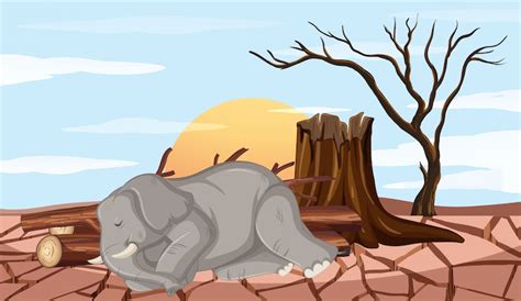 Images de Pas Deforestation – Téléchargement gratuit sur Freepik